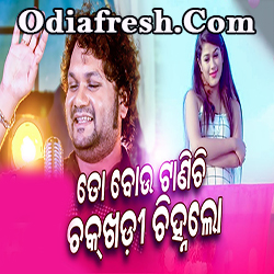 JanhaLo To Bou Tanichi ,Odia Romantic Song By Human Sagae